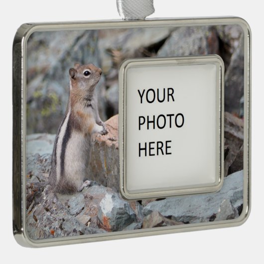 Golden-Mantled Ground Squirrel at Glacier II Verzilverd Omlijst Ornament (Rechts)