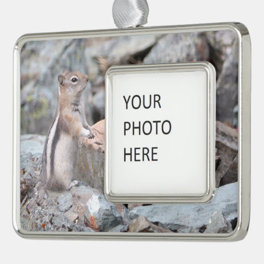 Golden-Mantled Ground Squirrel at Glacier II Verzilverd Omlijst Ornament (Links)