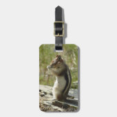 Golden-Mantled Ground Squirrel at Glacier Park Bagagelabel (Voorkant verticaal)