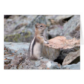 Golden Mantled Ground Squirrel bij Glacier II (Voorkant Horizontaal)