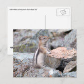 Golden Mantled Ground Squirrel bij Glacier II Briefkaart (Voorkant / Achterkant)