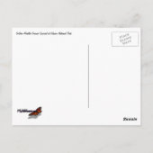 Golden Mantled Ground Squirrel bij Glacier II Briefkaart (Achterkant)