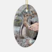 Golden Mantled Ground Squirrel bij Glacier II Keramisch Ornament (Rechts)