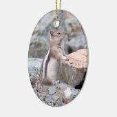 Golden Mantled Ground Squirrel bij Glacier II Keramisch Ornament (Links)