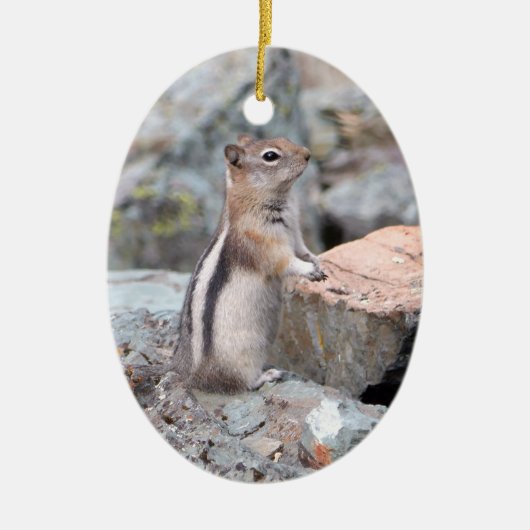 Golden Mantled Ground Squirrel bij Glacier II Keramisch Ornament (Voorkant)