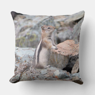 Golden Mantled Ground Squirrel bij Glacier II Kussen