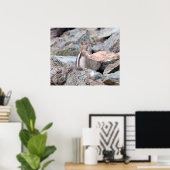 Golden Mantled Ground Squirrel bij Glacier II Poster (Thuiskantoor)