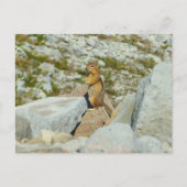 Golden-Mantled Ground Squirrel bij Mount Rainier Briefkaart (Voorkant)