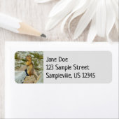 Golden-Mantled Ground Squirrel bij Mount Rainier Etiket (Insitu)