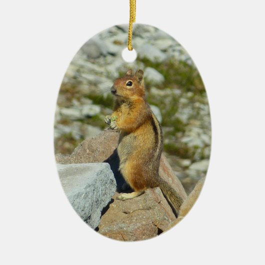 Golden-Mantled Ground Squirrel bij Mount Rainier Keramisch Ornament (Voorkant)