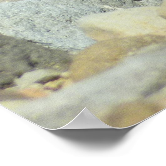 Golden-Mantled Ground Squirrel bij Mount Rainier Poster (Hoek)