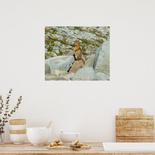 Golden-Mantled Ground Squirrel bij Mount Rainier Poster (Keuken)