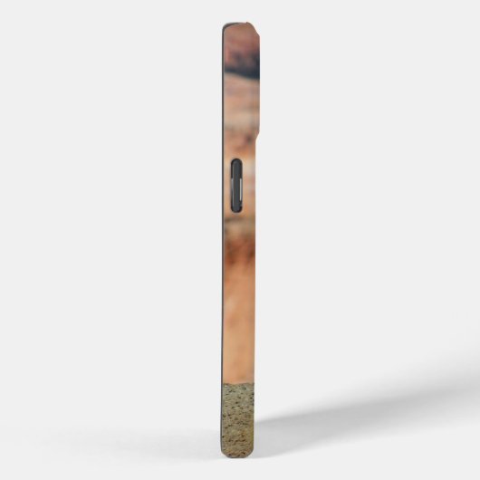 Golden Mantled Ground Squirrel Case-Mate iPhone Case (Achterkant / Rechts)