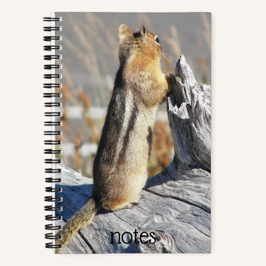 Golden Mantled Ground Squirrel Foto Notitieboek (Voorkant)