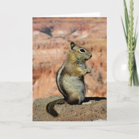 Golden Mantled Ground Squirrel Kaart (Voorkant)