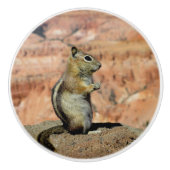 Golden Mantled Ground Squirrel Keramische Knop (Voorkant)