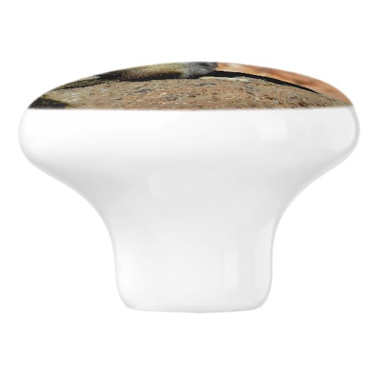 Golden Mantled Ground Squirrel Keramische Knop (Zijkant)