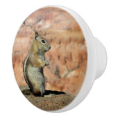 Golden Mantled Ground Squirrel Keramische Knop (Rechts)