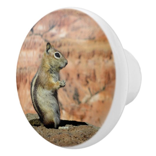 Golden Mantled Ground Squirrel Keramische Knop (Rechts)