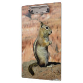 Golden Mantled Ground Squirrel Klembord (Links)