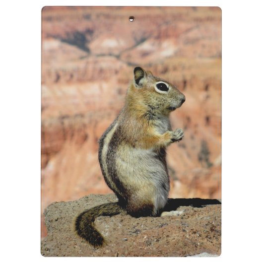 Golden Mantled Ground Squirrel Klembord (Achterkant)
