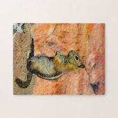 Golden Mantled Ground Squirrel. Legpuzzel (Horizontaal)