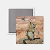 Golden Mantled Ground Squirrel Magneet (Voorkant / Achterkant)