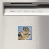Golden Mantled Ground Squirrel Magnet (Insitu (Vaatwasser))