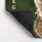 Golden Mantled Ground Squirrel Muismat (Hoek)