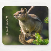 Golden Mantled Ground Squirrel Muismat (Voorkant)