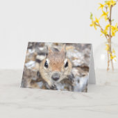 Golden Mantled Ground Squirrel Notecard Kaart (Gele Bloem)