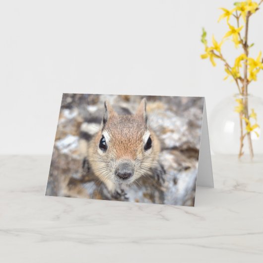 Golden Mantled Ground Squirrel Notecard Kaart (Gele Bloem)