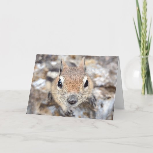 Golden Mantled Ground Squirrel Notecard Kaart (Voorkant)