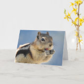 Golden Mantled Ground Squirrel Notecard Kaart (Gele Bloem)