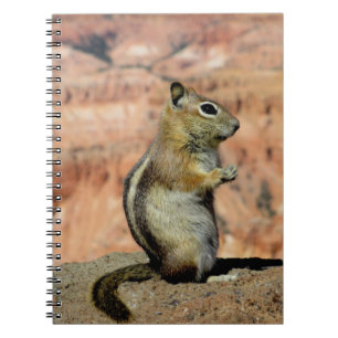 Golden Mantled Ground Squirrel Notitieboek
