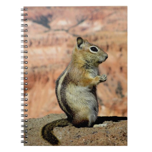 Golden Mantled Ground Squirrel Notitieboek (Voorkant)