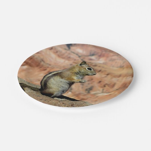 Golden Mantled Ground Squirrel Papieren Bordje (Gekanteld)