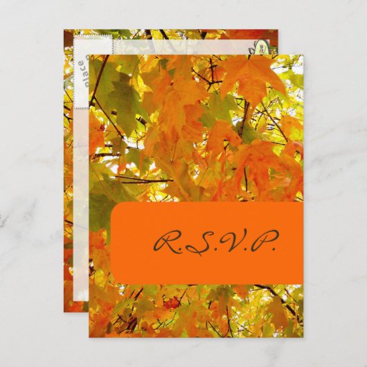 Golden Maple, RSVP briefkaarten, voor 5x7 uitnodig Uitnodiging Briefkaart (Voorkant / Achterkant)