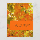 Golden Maple, RSVP briefkaarten, voor 5x7 uitnodig Uitnodiging Briefkaart (Voorkant)