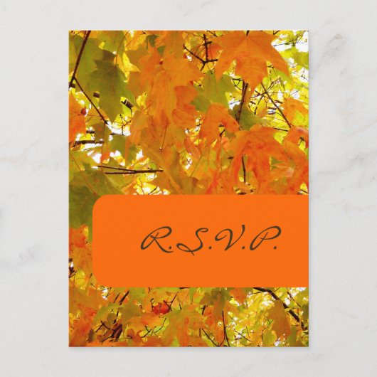 Golden Maple, RSVP briefkaarten, voor 5x7 uitnodig Uitnodiging Briefkaart (Voorkant)