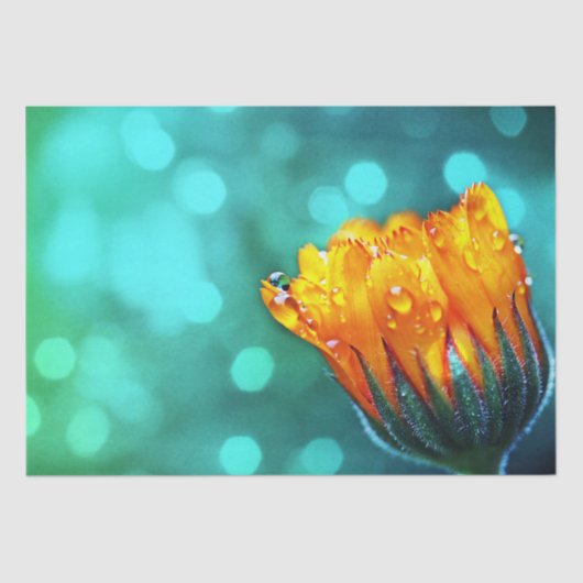 Golden Marigold op Blauwgroen Bokeh Tissuepapier (Voorkant)