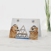 Golden Matzo Fun Pascha Kaart (Voorkant)