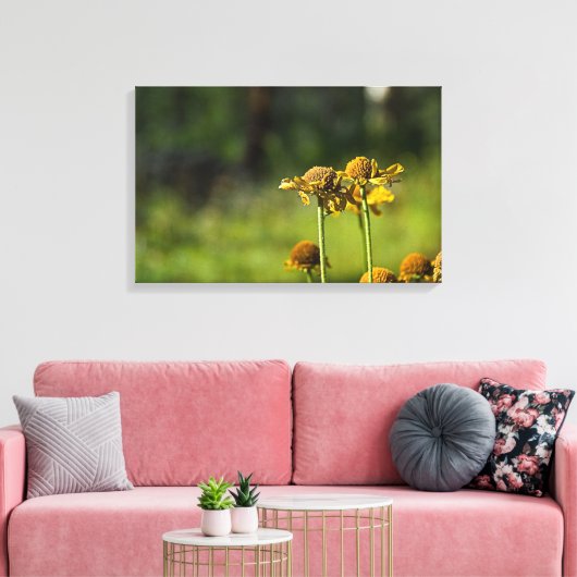 Golden Meadow Bloem Canvas Afdruk (Insitu (Woonkamer))