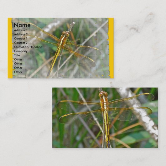 Golden Meadowhawk Dragonfly Visitekaartje (Voorkant / Achterkant)