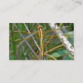 Golden Meadowhawk Dragonfly Visitekaartje (Achterkant)