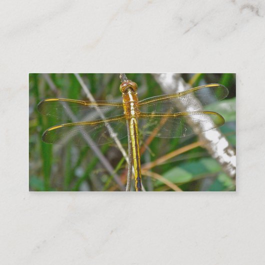 Golden Meadowhawk Dragonfly Visitekaartje (Achterkant)