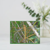 Golden Meadowhawk (Sympetrum) Dragonfly Items Briefkaart (Staand voorkant)