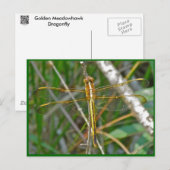 Golden Meadowhawk (Sympetrum) Dragonfly Items Briefkaart (Voorkant / Achterkant)