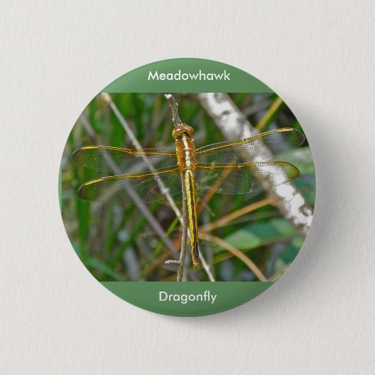 Golden Meadowhawk (Sympetrum) Dragonfly Items Ronde Button 5,7 Cm (Voorkant)