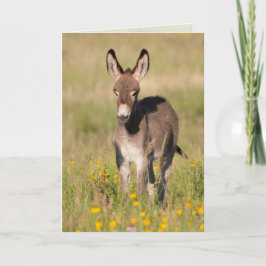 "Golden Meadows" - Wenskaart Kaart